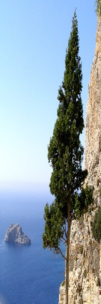 amorgos big blue